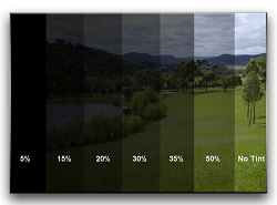 car tint shade chart